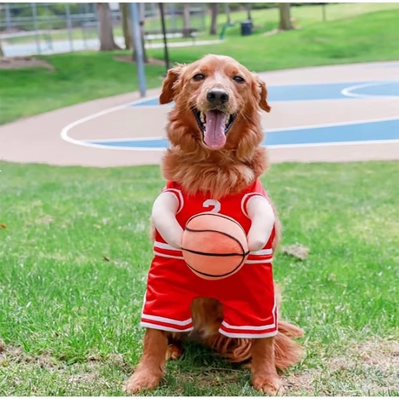 Dog Basketball Costume (small to large dogs)