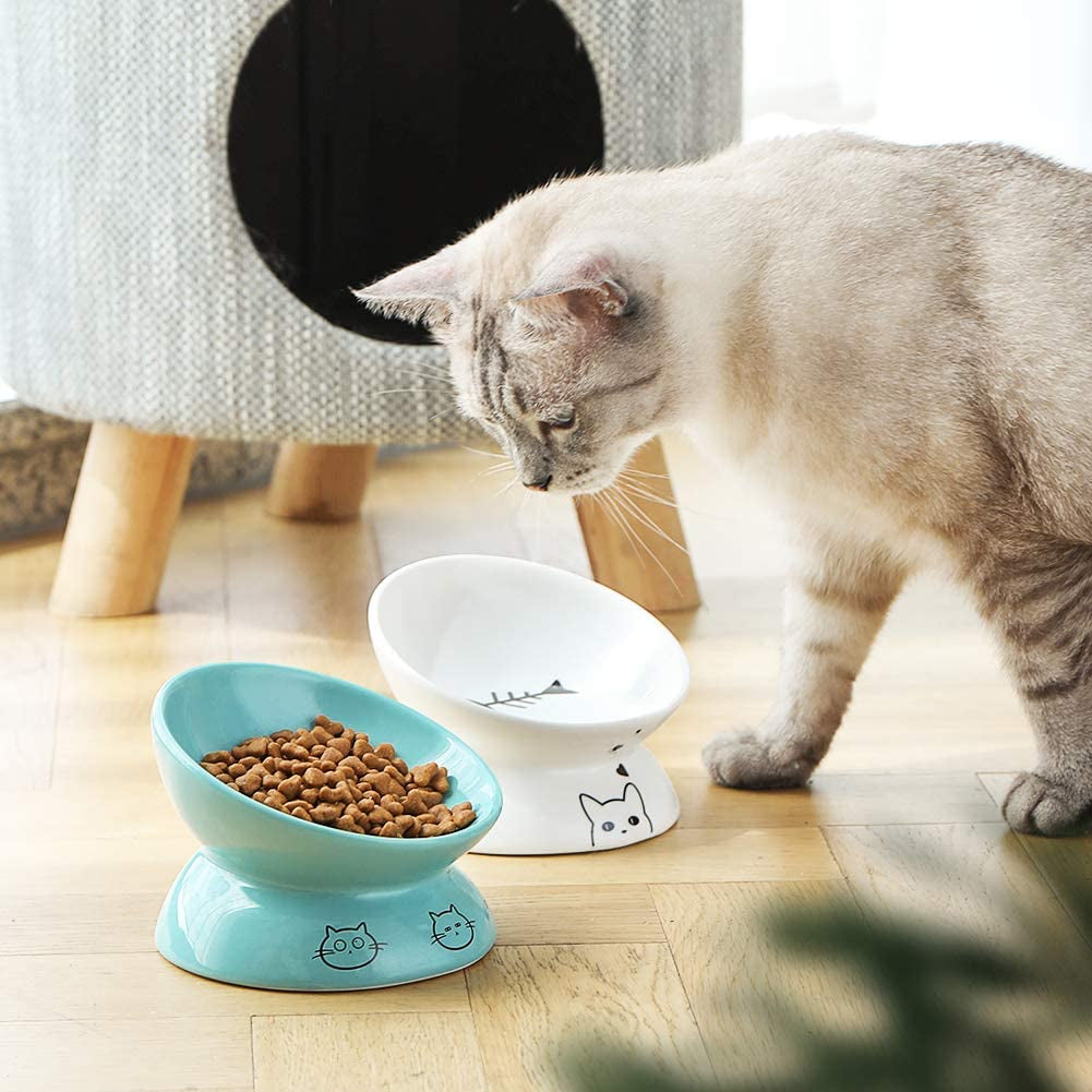 Ceramic Raised Cat Bowls – Slanted & Elevated Feeder (White)