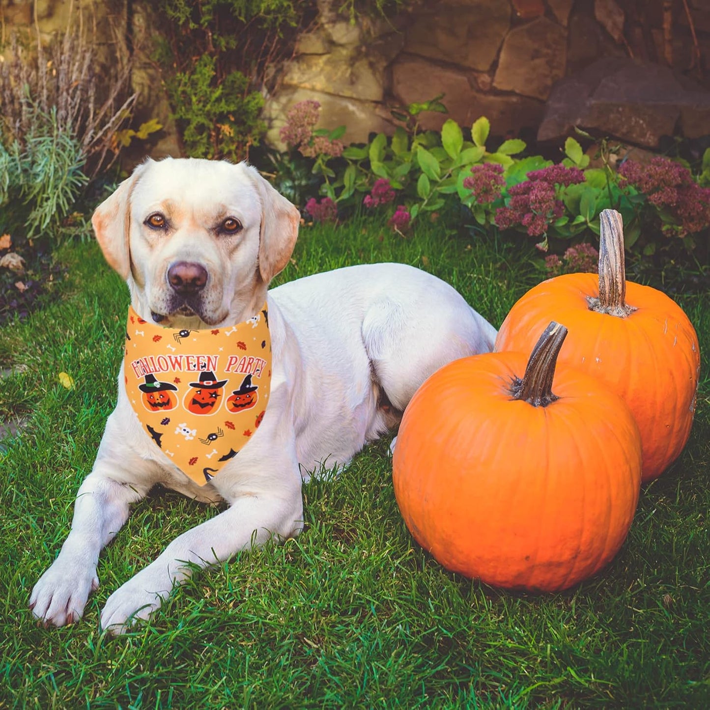 2-Pack Halloween Dog Bandanas – Reversible Triangle Scarves (Purple & Yellow)