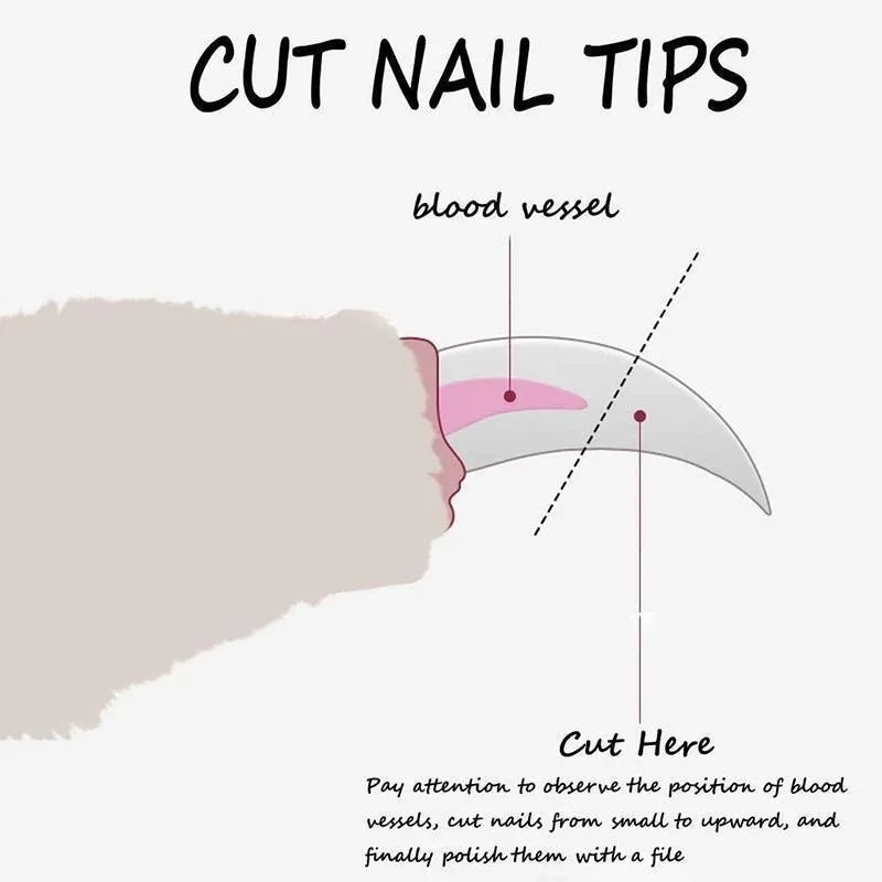 Pet Nail Clippers – Safe Grooming Tool for Dogs & Cats