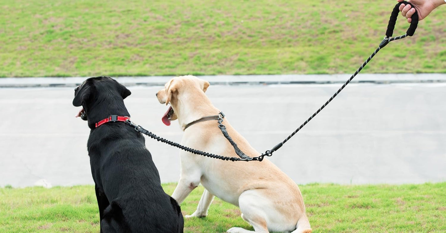 Dual Dog Leash: Tangle-Free & Shock Absorbing