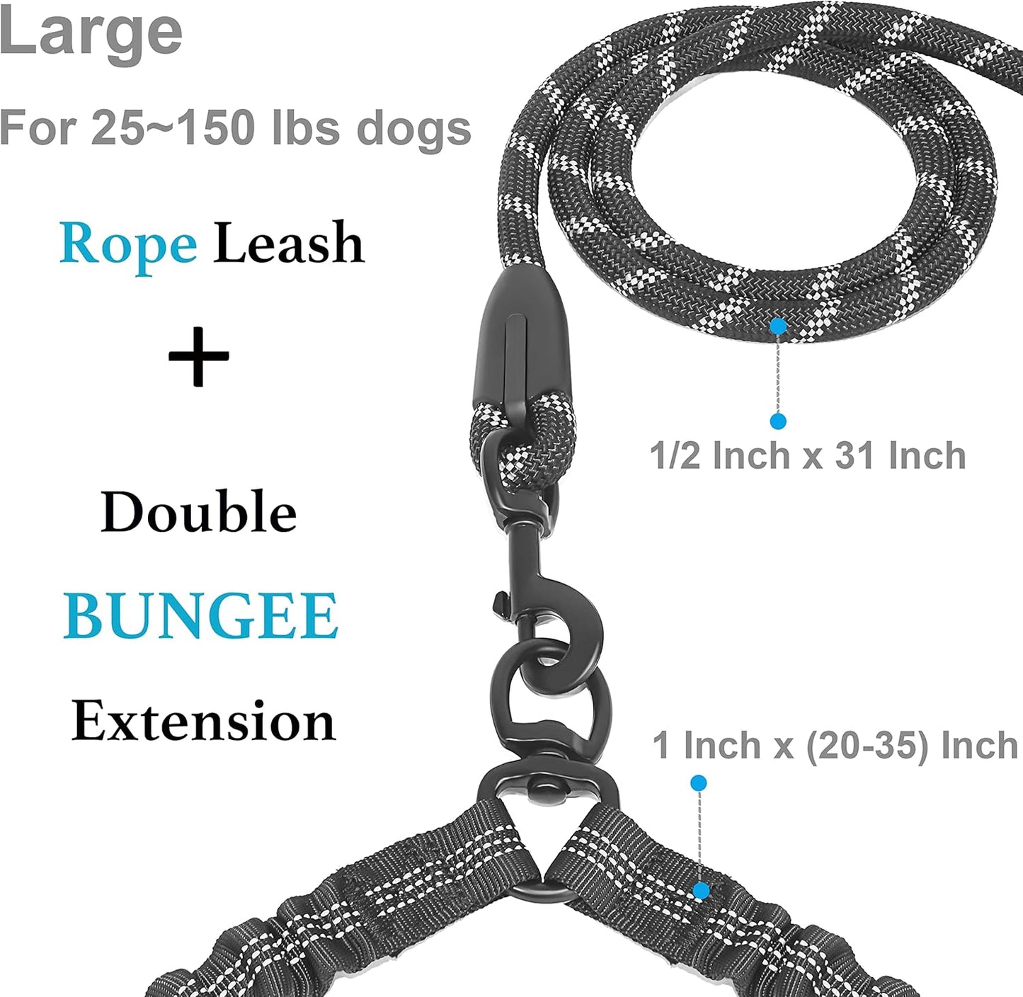 Dual Dog Leash: Tangle-Free & Shock Absorbing