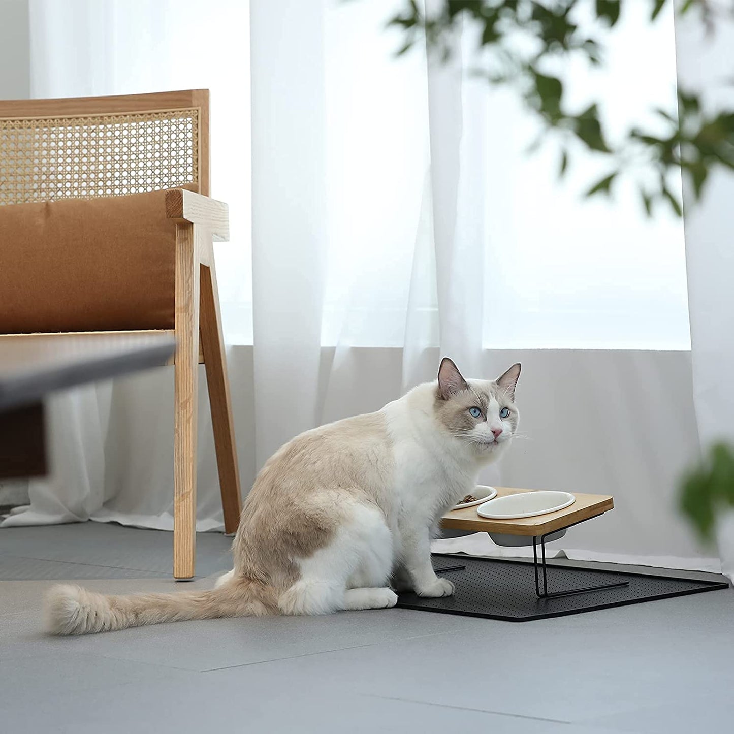 Elevated Cat Ceramic Bowls, Feeder Set for Cats and Puppy