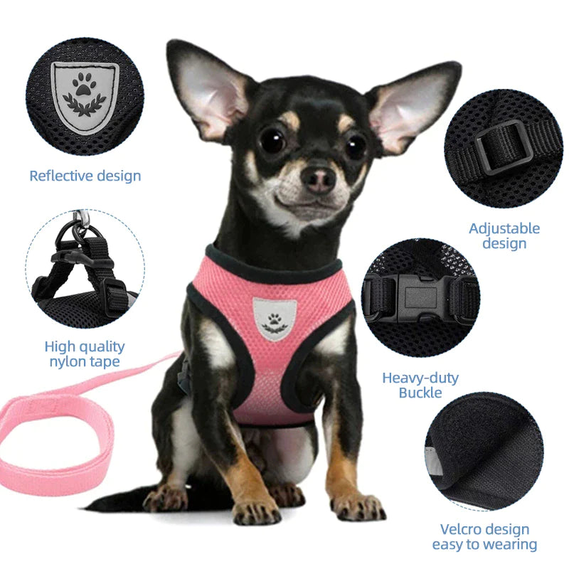 Cat Harness Adjustable