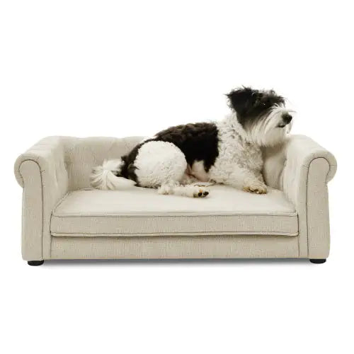 Chic Large Dog Lounge Sofa
