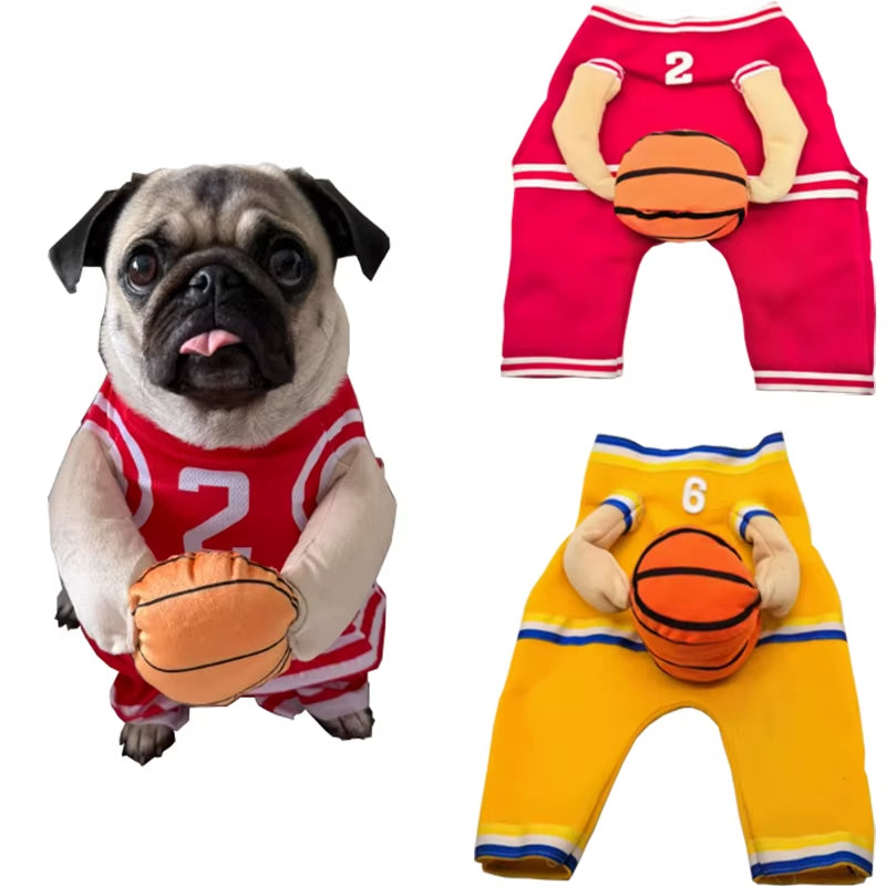 Dog Basketball Costume (small to large dogs)