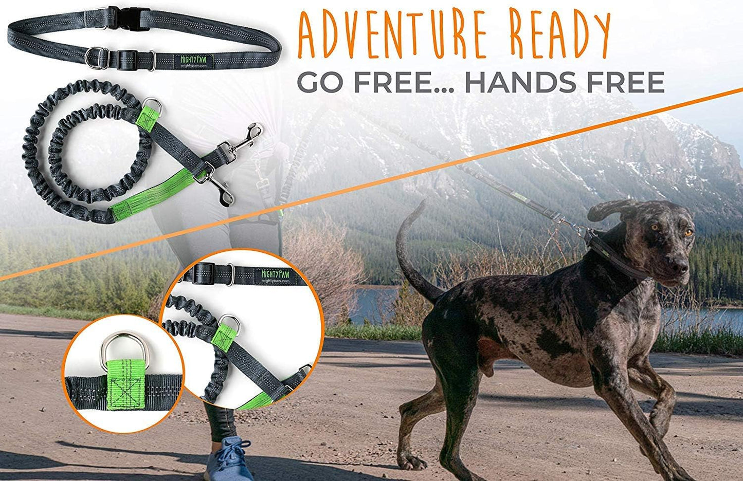 Hands-Free Dog Leash with Waist Belt – Up to 150 lbs