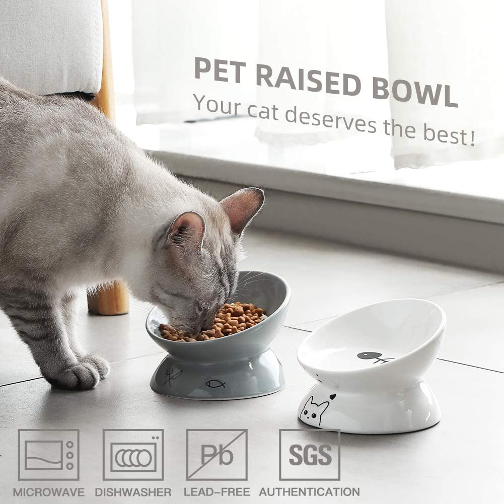 Ceramic Raised Cat Bowls – Slanted & Elevated Feeder (White)