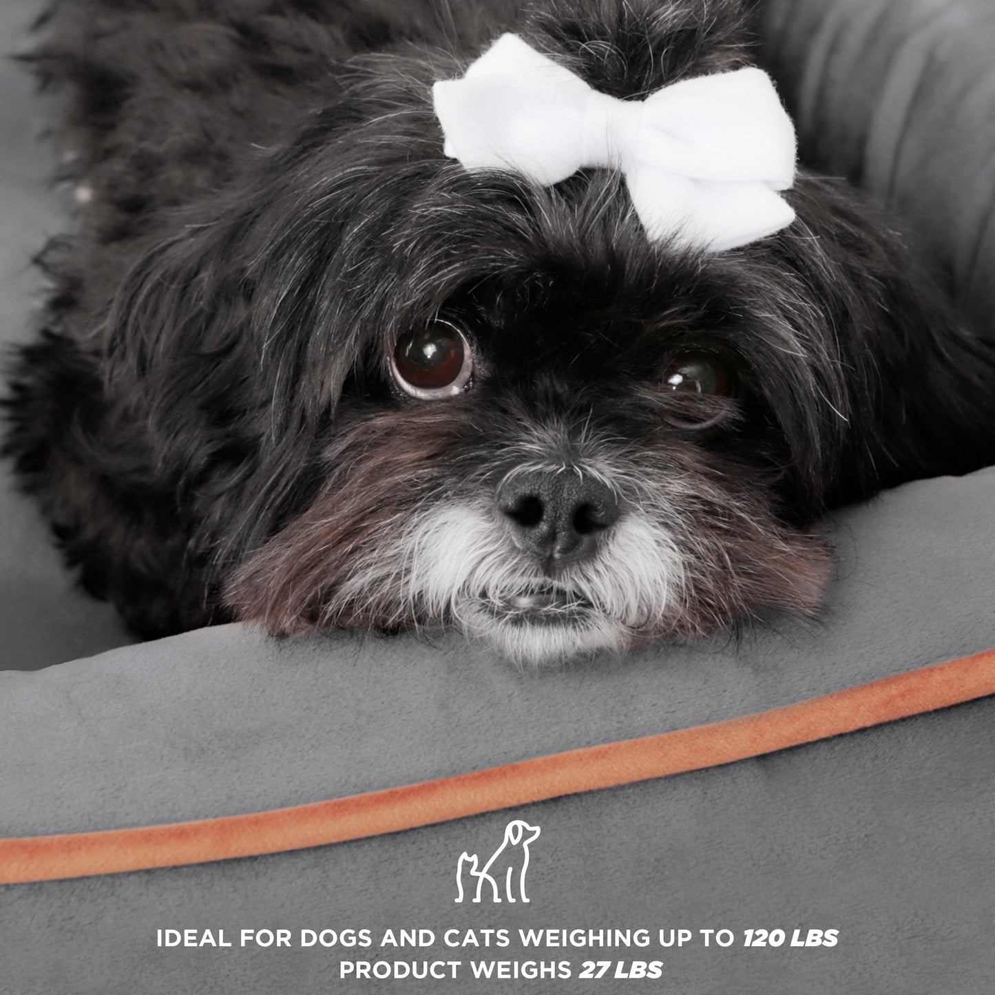 Premium Wyatt Wooden Pet Bed