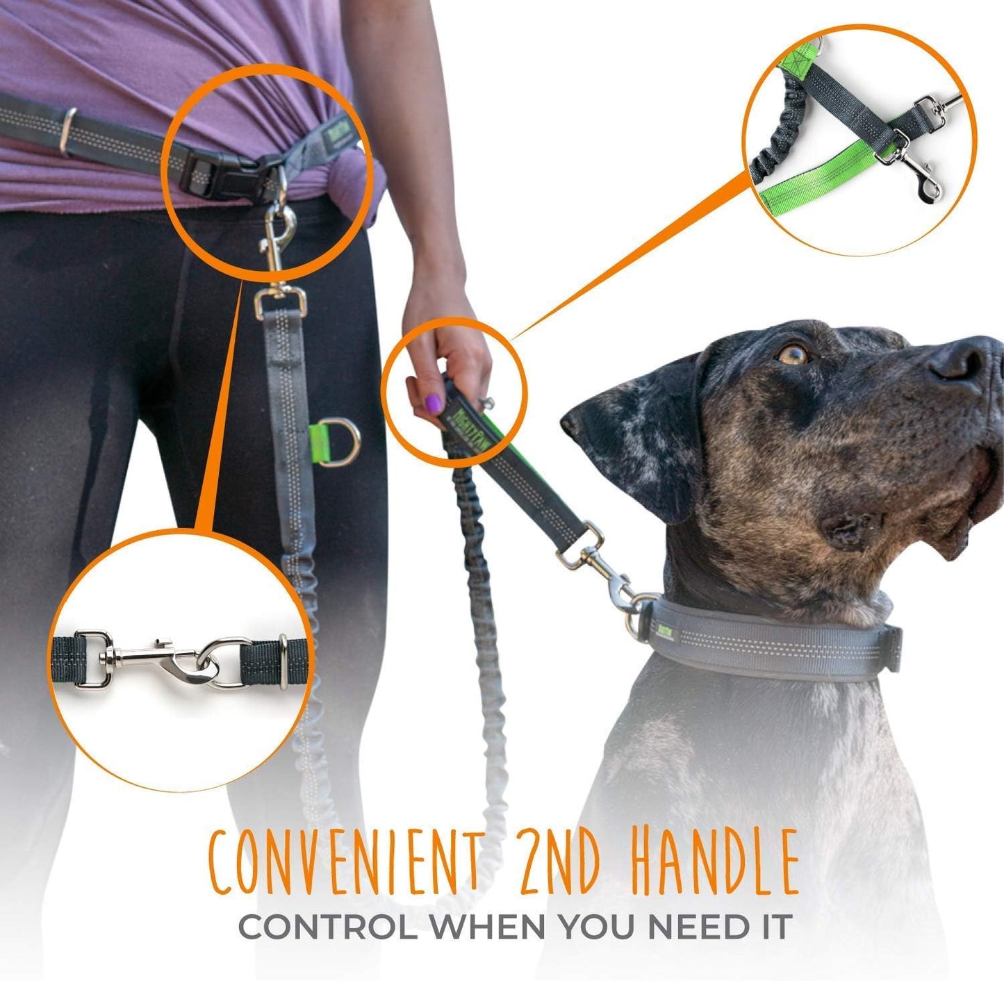 Hands-Free Dog Leash with Waist Belt – Up to 150 lbs