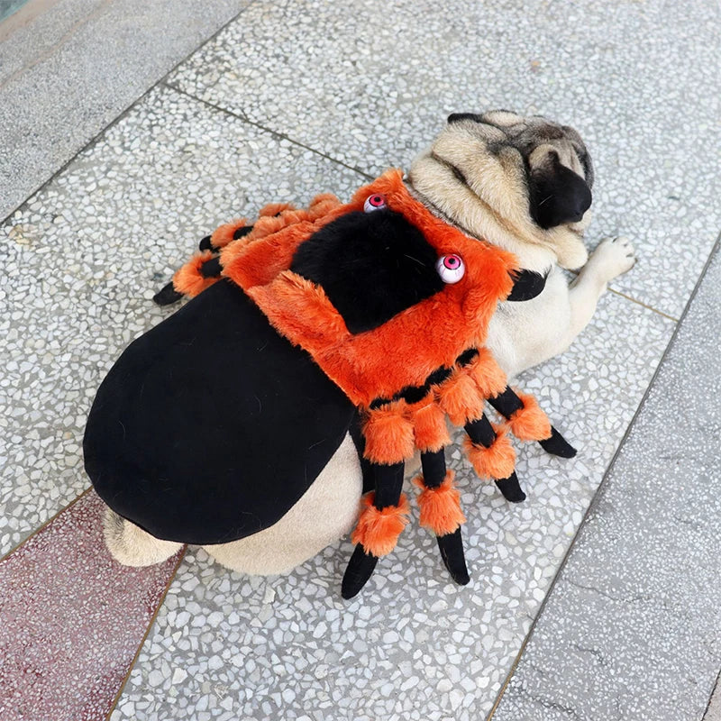 Halloween Pet Outfit – Creepy Spider Costume for Cats & Dogs