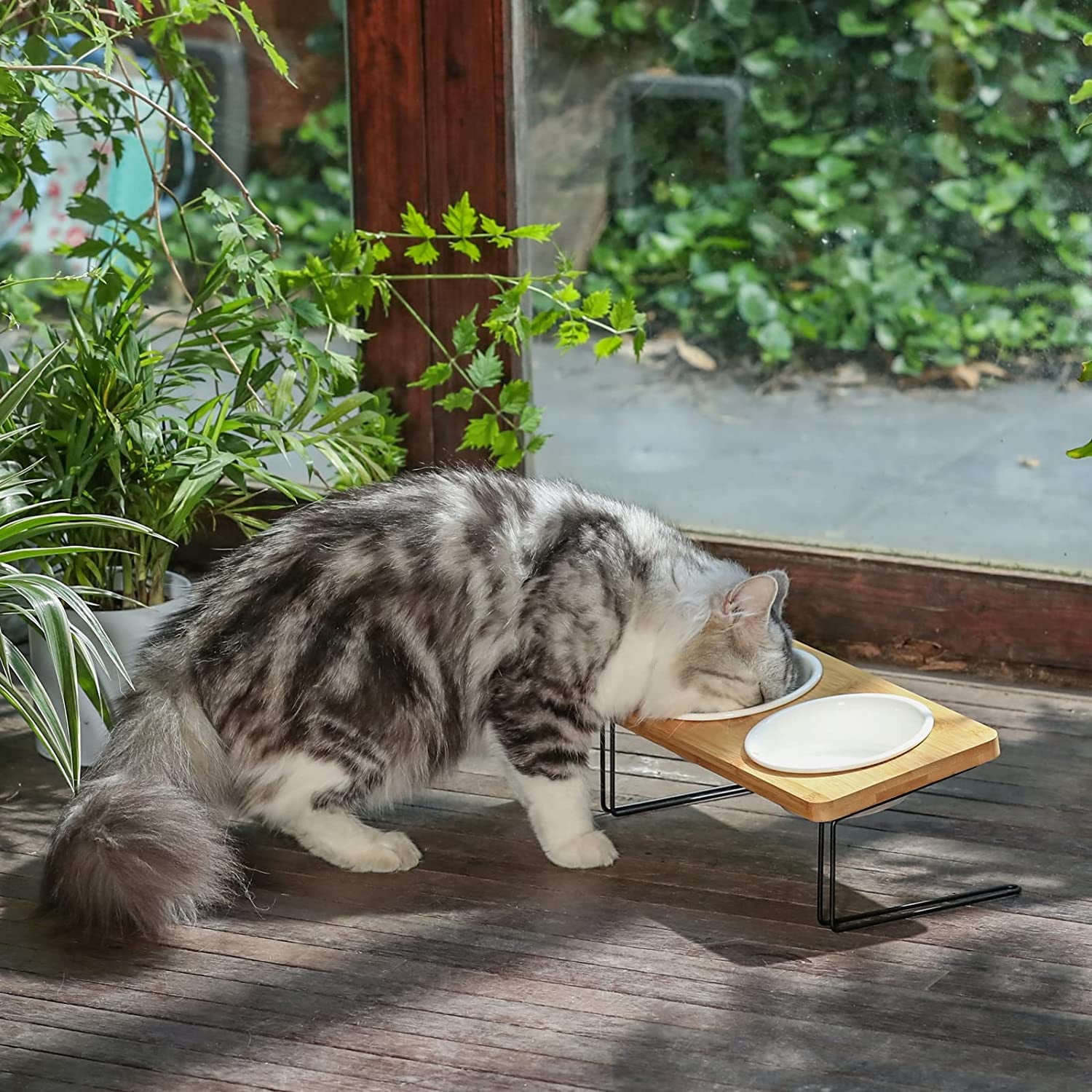 Elevated Cat Ceramic Bowls,  Feeder Set for Cats and Puppy