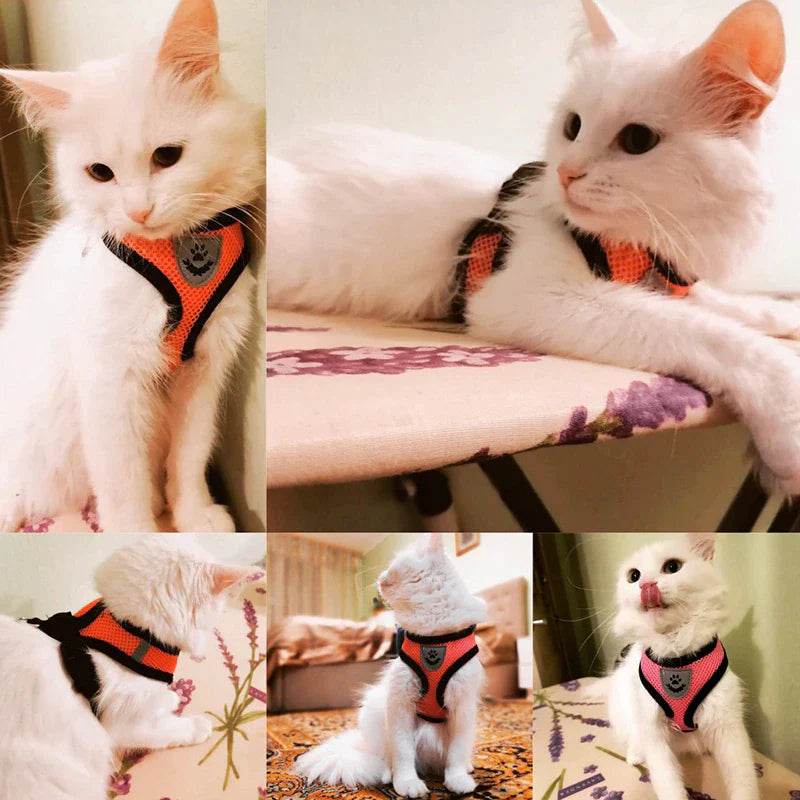 Cat Harness Adjustable