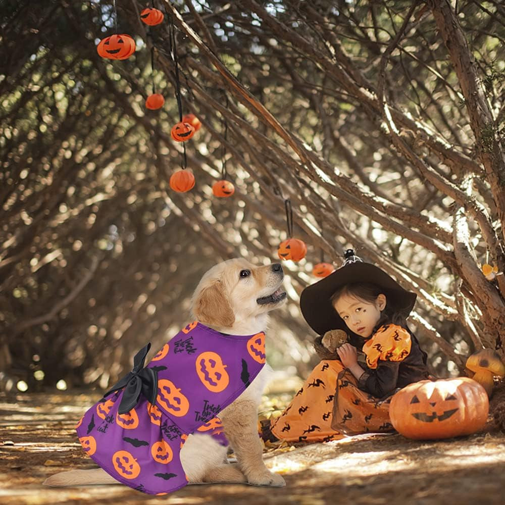 3-Pack Halloween Pet Costumes – Dresses & Outfits for Small Dogs & Cats