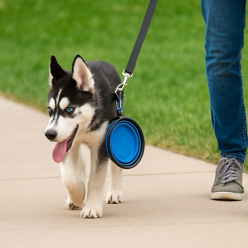 Portable Travel Pet Bowl, Foldable Silicone Pet Food Feeding Bowl, Collapsible Pet Food Feeder, Folding Food Dish with Carabiner Clip for Dogs & Cats