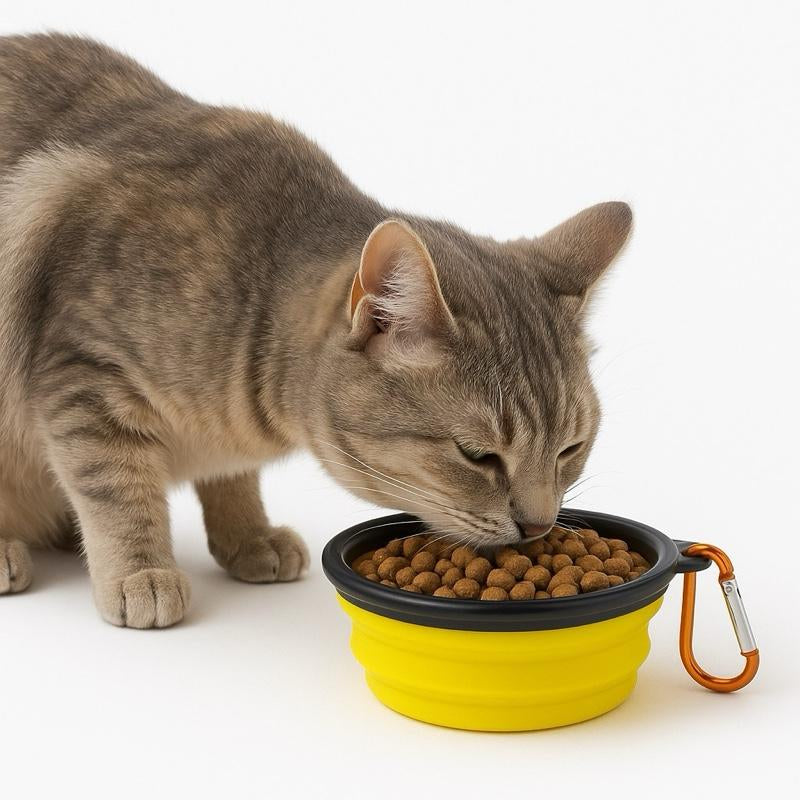 Portable Travel Pet Bowl, Foldable Silicone Pet Food Feeding Bowl, Collapsible Pet Food Feeder, Folding Food Dish with Carabiner Clip for Dogs & Cats