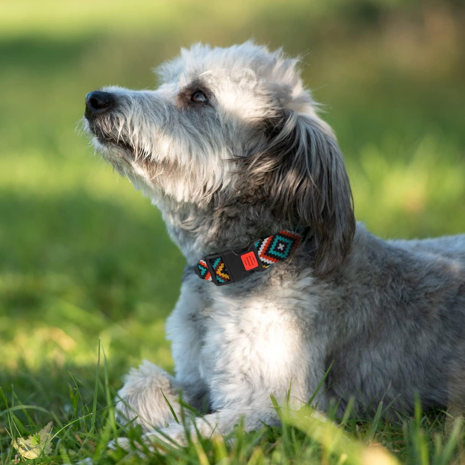 Nylon Dog Collar – Aztec Geometric Pattern (12–16”)