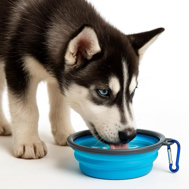 Portable Travel Pet Bowl, Foldable Silicone Pet Food Feeding Bowl, Collapsible Pet Food Feeder, Folding Food Dish with Carabiner Clip for Dogs & Cats