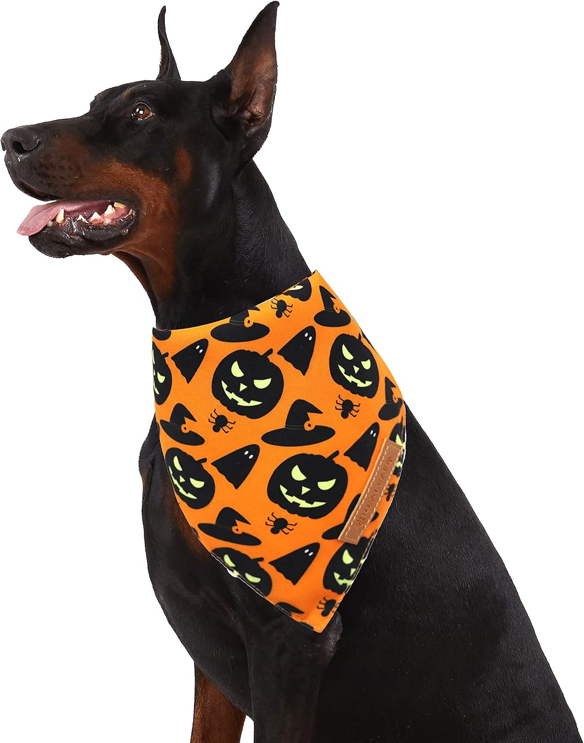 Halloween Dog Bandanas 2 Pack, Pumpkin and Spider Web Bibs (Large)
