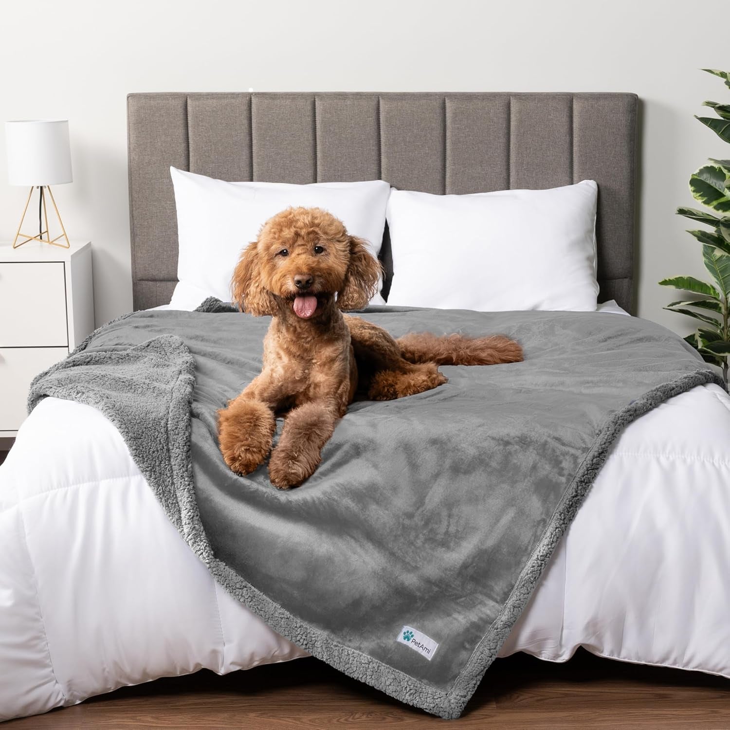 Waterproof Dog Blanket for Queen Bed Large XL 