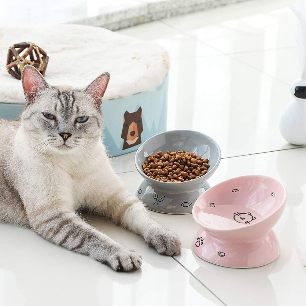 Ceramic Raised Cat Bowls