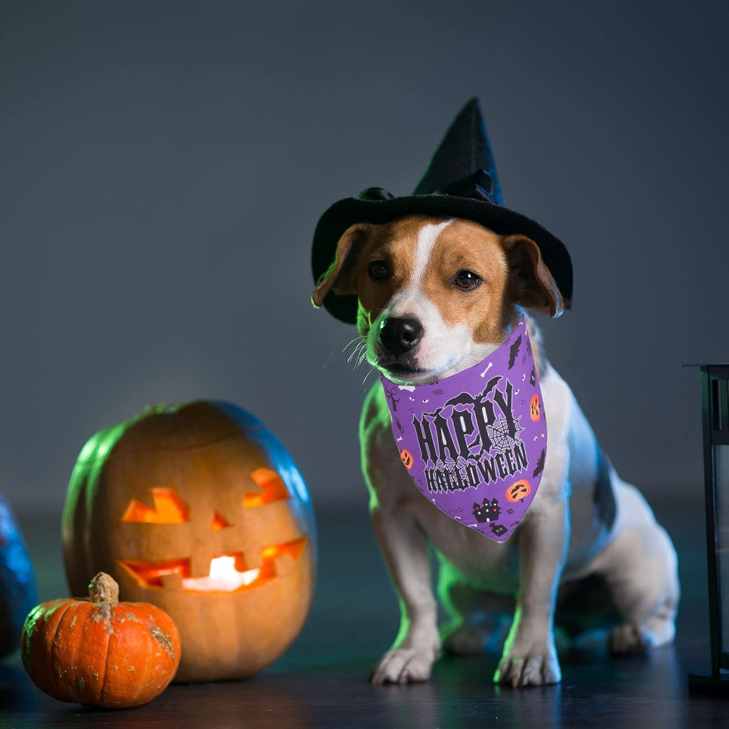2-Pack Halloween Dog Bandanas – Reversible Triangle Scarves (Purple & Yellow)