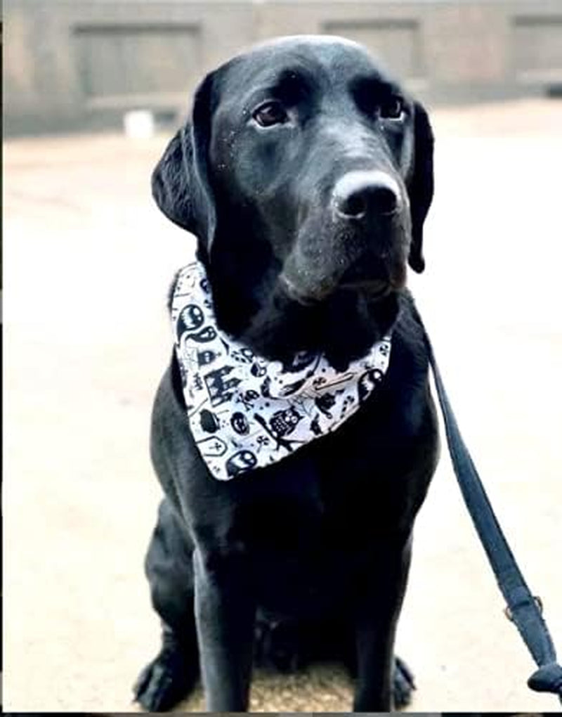 Halloween Bandana for Dogs, 2 Pack White and Black Halloween Dog Scarf