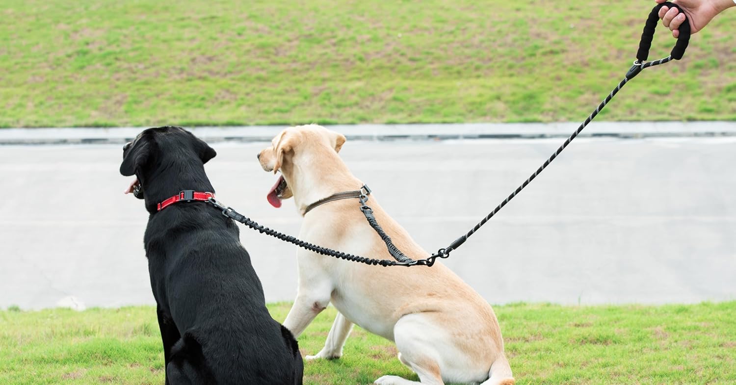 Dual Dog Leash: Tangle-Free & Shock Absorbing 