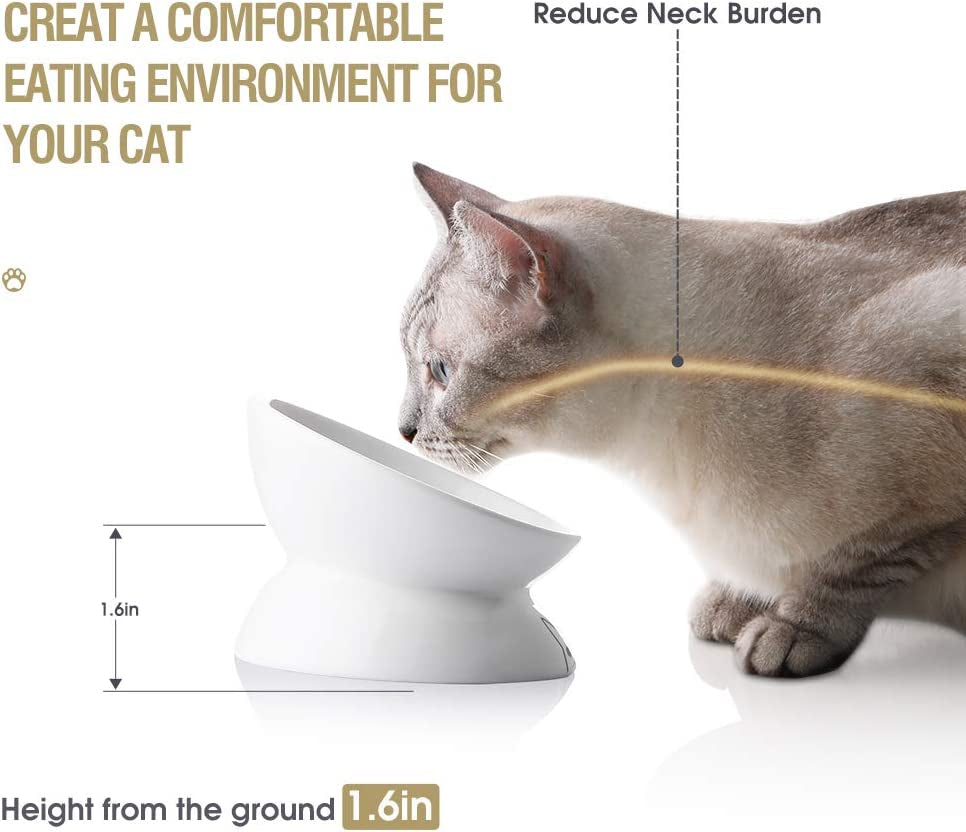 Ceramic Raised Cat Bowls – Slanted & Elevated Feeder (White)