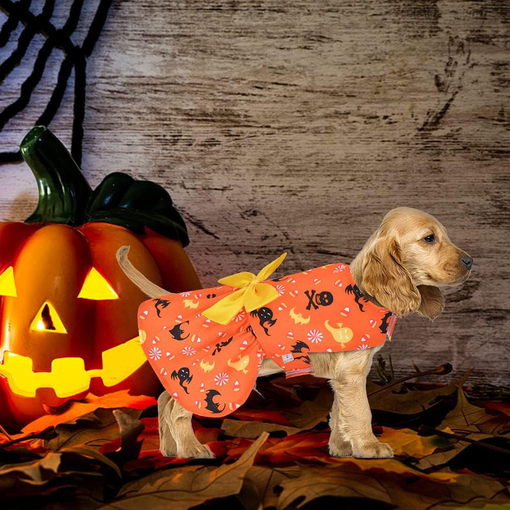 3-Pack Halloween Pet Costumes – Dresses & Outfits for Small Dogs & Cats