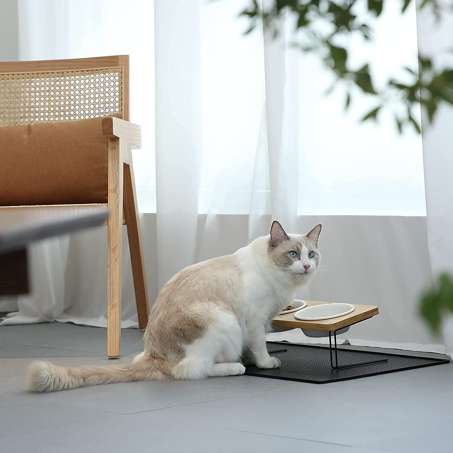 Elevated Cat Ceramic Bowls,  Feeder Set for Cats and Puppy