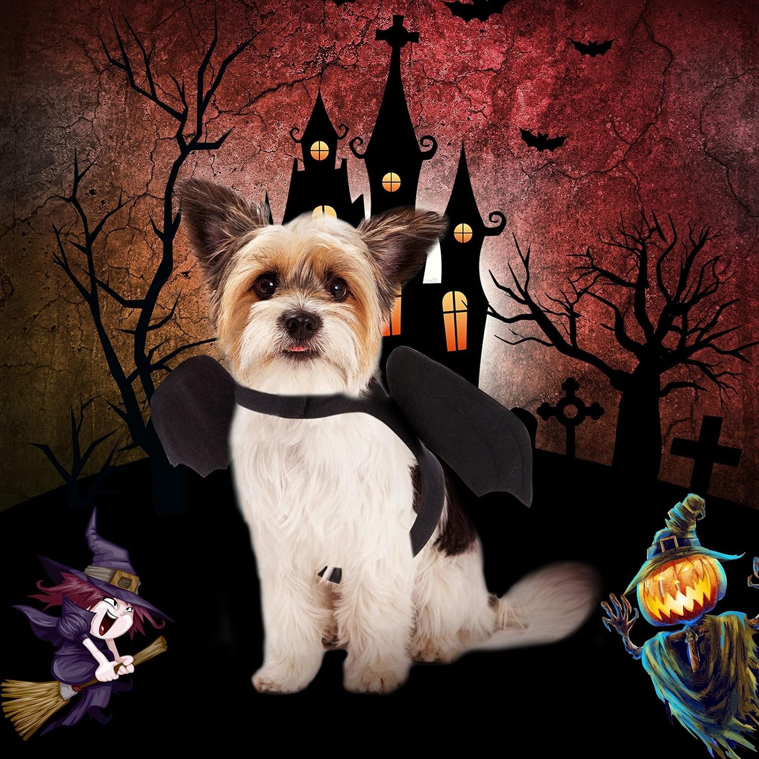 Dog & Cat Halloween Costume – Bat Wings for Parties