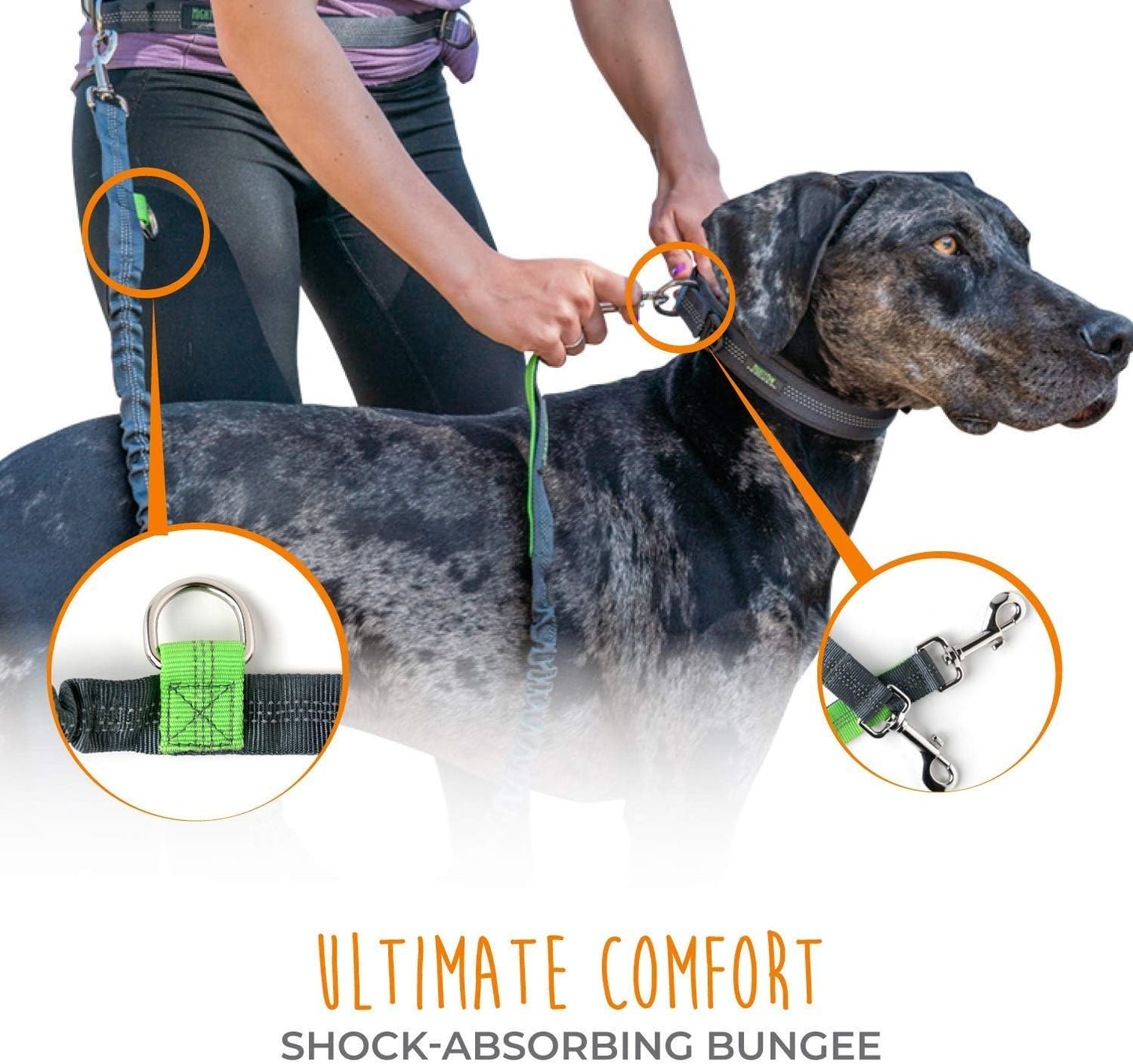 Hands-Free Dog Leash with Waist Belt – Up to 150 lbs