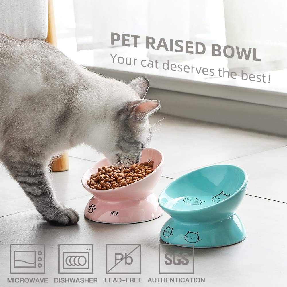 Ceramic Raised Cat Bowls