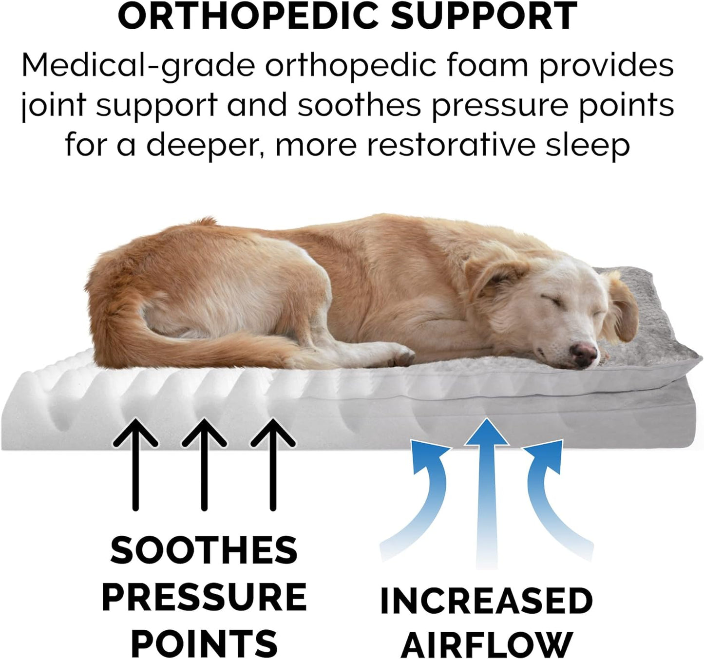Orthopedic Dog Bed for Medium/Small Dogs 