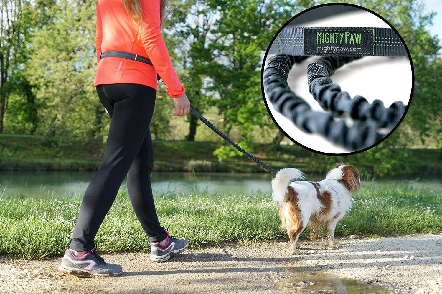 Hands-Free Dog Leash with Waist Belt – Up to 150 lbs