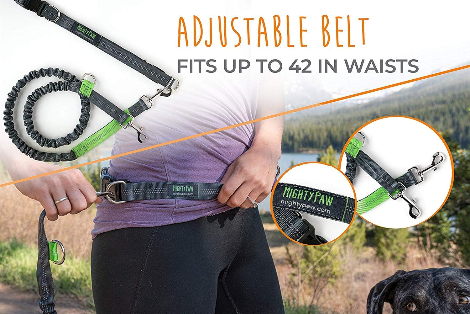 Hands-Free Dog Leash with Waist Belt – Up to 150 lbs