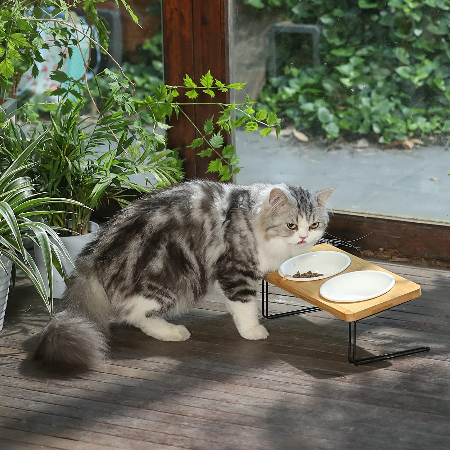 Elevated Cat Ceramic Bowls,  Feeder Set for Cats and Puppy
