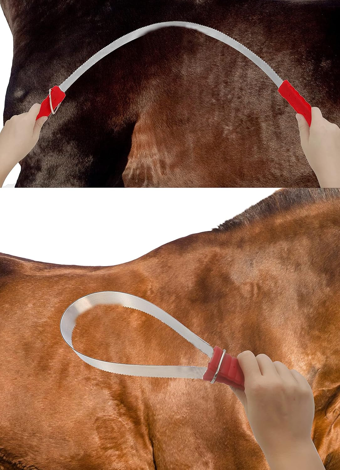 Shedding Blade Horse Brush Scraper Stainless Steel Shed Blade for Dogs (One Loop)