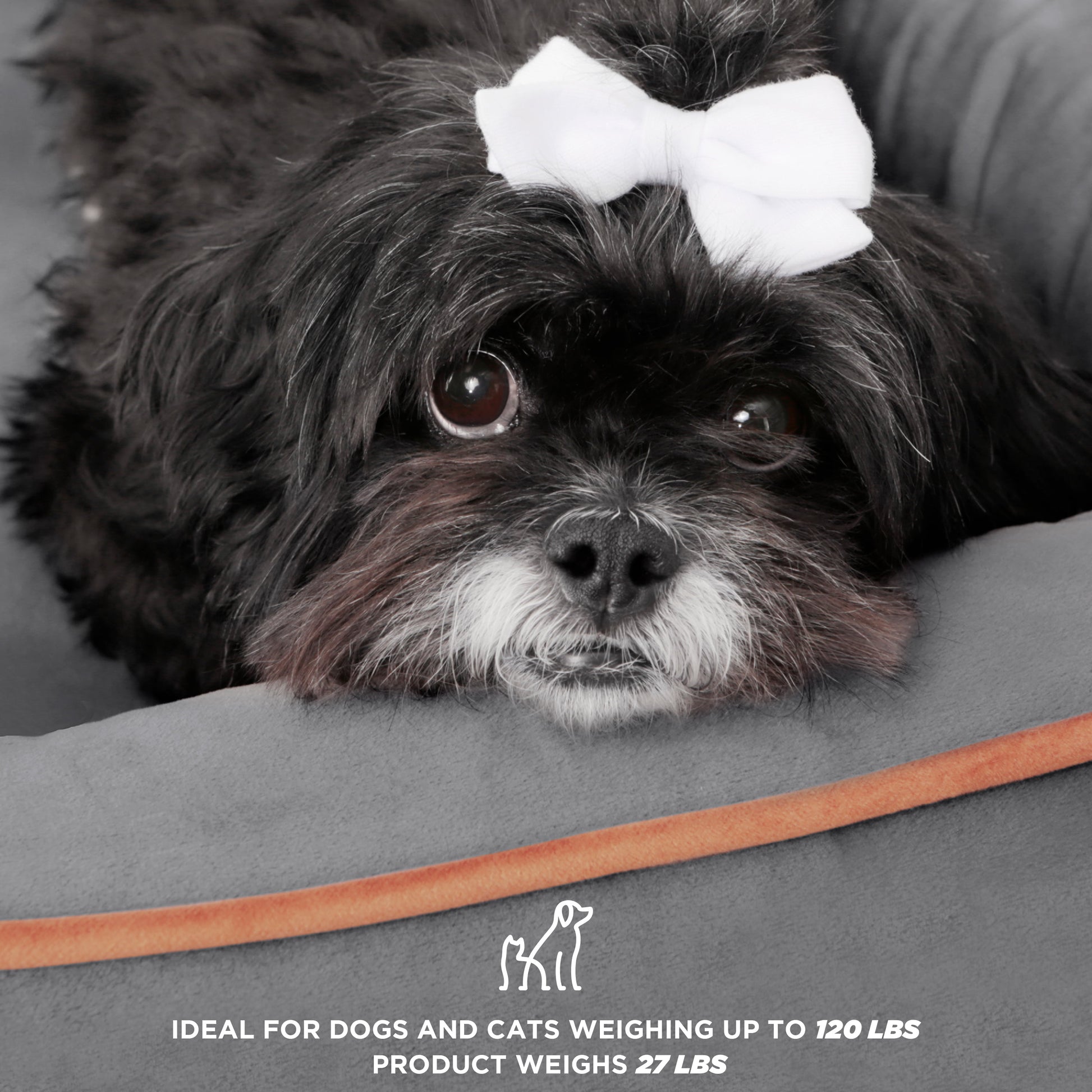 Premium Wyatt Wooden Pet Bed 