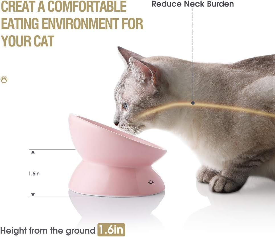 Ceramic Raised Cat Bowls